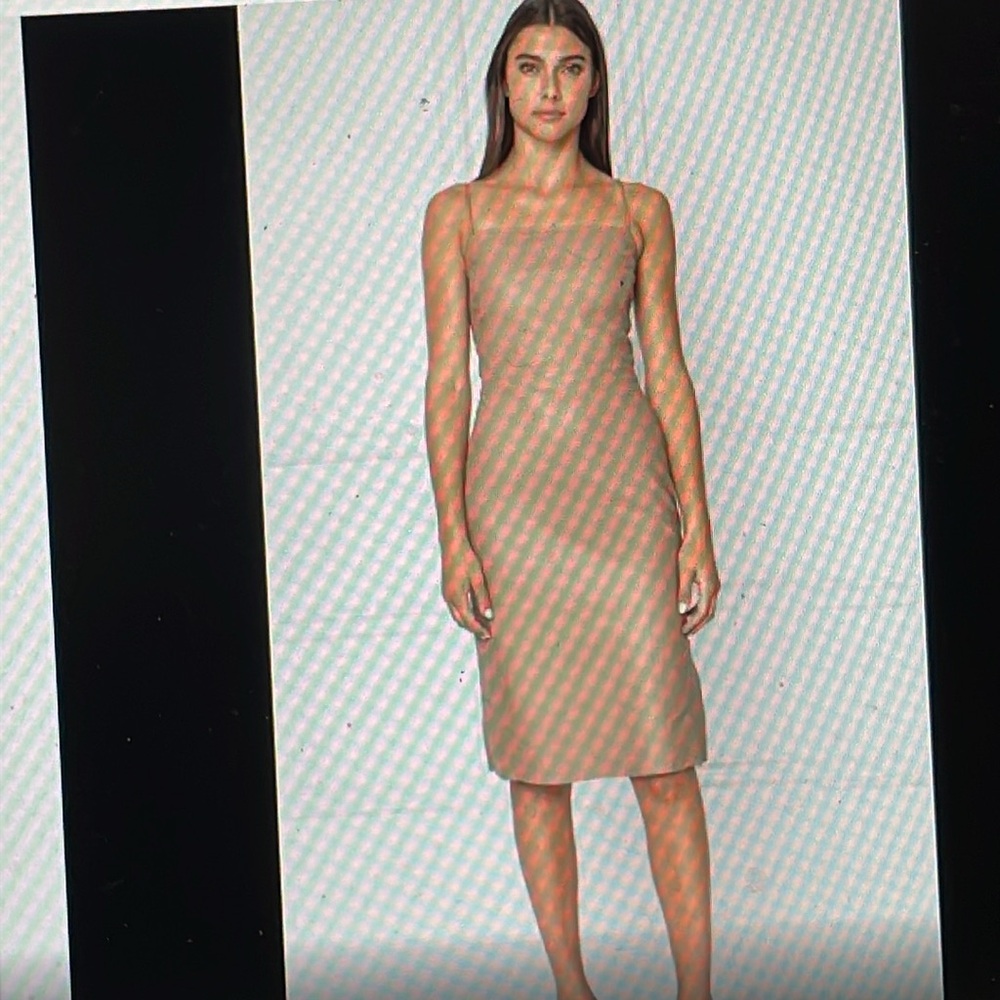 Lamarque leather dress